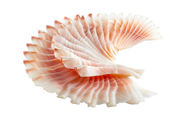 Close-up of a Beautifully Presented Fillet of Fresh Fish Meat