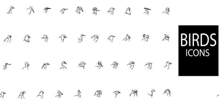 Birds simple concept 40 icons set.Mnay kind of birds.Vector illustration.