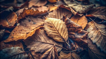 A symphony of muted hues, autumn leaves whisper stories in the fading light.