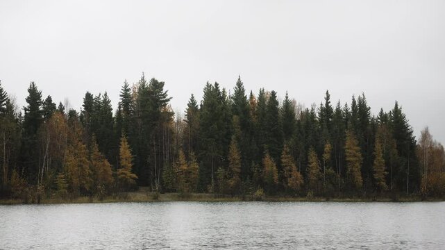 Close up of the shore of Chena Lake in Alaska with gorgeous fall colors on the trees