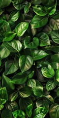 Fototapeta premium Close-up of vibrant green leaves creating a lush, natural background, perfect for nature-themed designs and projects.