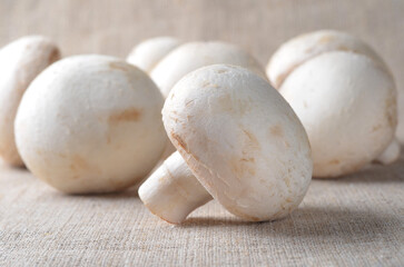 Mushrooms close-up, frontal view, detail, composition, ingredients for cooking, healthy eating