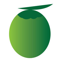 coconut fruit icon. fresh fruit isolated on white background. vector illustration.