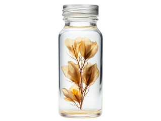 Dried flowers in a clear glass bottle, isolated on a white background.