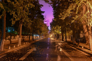 Night road with autumn leaves and pink lighting in the background