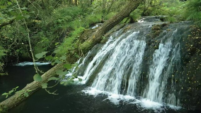 Waterfall Cascades In Forest. wide shot