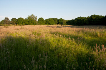 De Meinweg, Limburg; De Meinweg, Netherlands