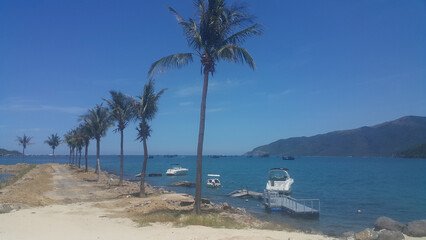Serene coastal view featuring palm trees, clear skies, and boats anchored in the calm waters