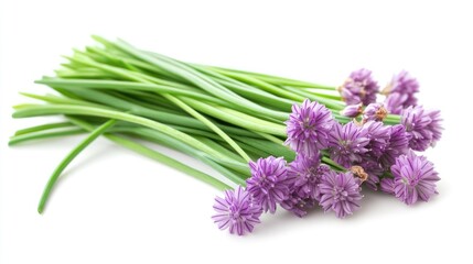Naklejka premium Chives a member of the Allium family displayed on a white background