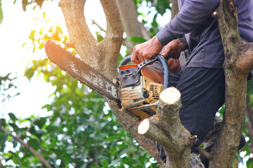 Naklejka premium close up lumberman on tree while using chainsaw sawing wood in to pieces against blue sky white cloud