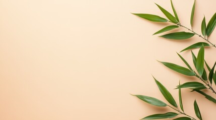 Fototapeta premium Elegant green leaves against a soft peach background, perfect for nature-themed designs and wellness concepts.