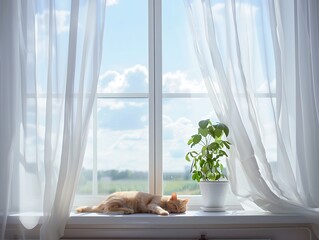 Bright light, white window with sheer curtains, cat napping on sill, indoor plant, sky and landscape view.