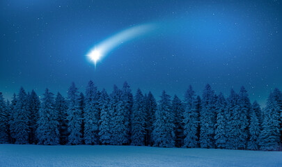 Sternenhimmel über Winterwald mit Sternschnuppe am Himmel © by-studio