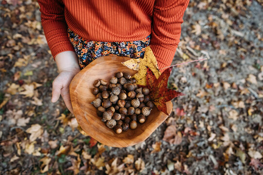 Closeup of wooden bowl of acorns and fall leaves