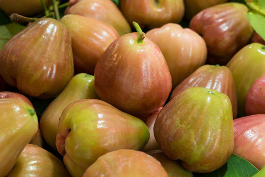 Deliciously Fresh Rose Apples at a Vibrant Thai Market &ndash; Perfect for a Sweet, Juicy Treat
