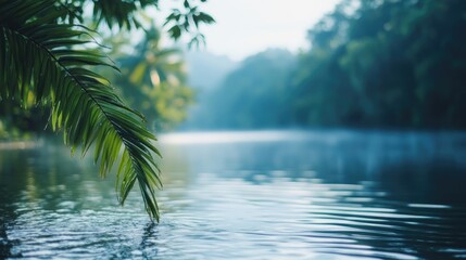Obraz premium Blurred image depicting a serene natural backdrop featuring water and lush vegetation