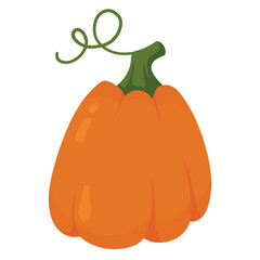 Decorative autumn pumpkin isolated on white background. Fall harvest gourds. Element for autumn decorative design, Halloween, Thanksgiving invitation