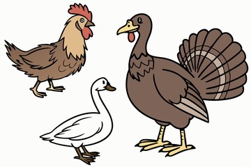 Bird Family Animal Set