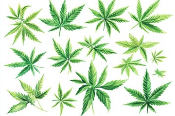 Vibrant Cannabis Leaf Pattern