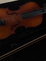 Fototapeta premium violin and bow