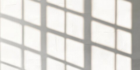 Natural Light and Shadow on a Minimalist Wall