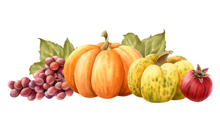 Autumn vegetables and fruits harvest watercolor isolated illustration with pumpkins, grapes branch, green leaves and pomegranate. Realistic ripe plants for fall October designs. Juicy berries crop