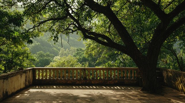Beautiful Tree View At The Gardan