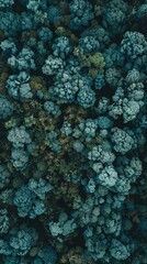 A close up of a forest with many trees and bushes. The image has a peaceful and calming mood