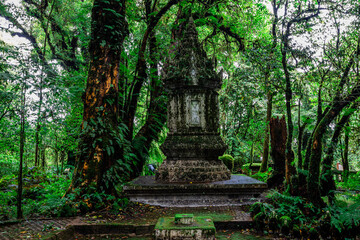 high angle nature background On the mountain overlooking the surrounding natural scenery, overlooking the sea, trees, rocks, trees, adventure tourism.