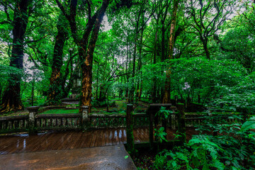 high angle nature background On the mountain overlooking the surrounding natural scenery, overlooking the sea, trees, rocks, trees, adventure tourism.