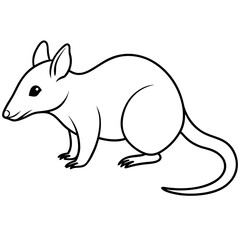 illustration of a bandicoot