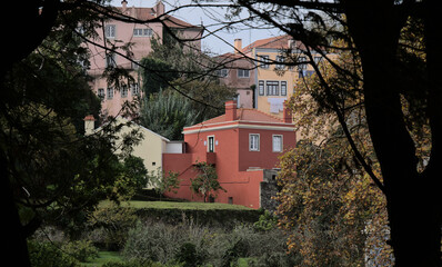 Buildings in Sintra seen from between the trees