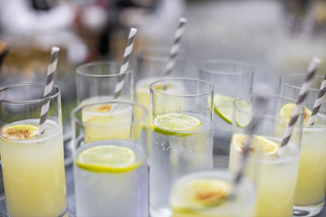 Refreshing Citrus Beverages with Lemon and Lime Garnishes