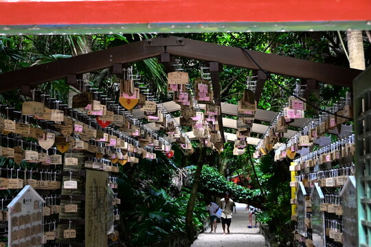 青島神社」の写真素材 | 517件の無料イラスト画像 | Adobe Stock