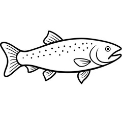 trout fish on white background