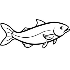 illustration of a catfish