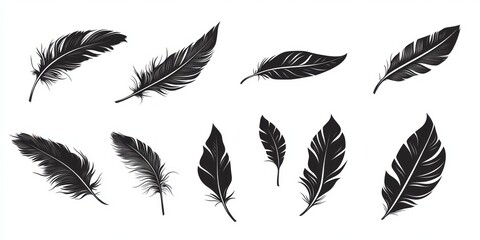 Elegant Black Feather Design