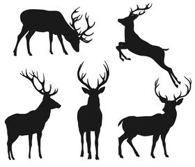 Set of deer silhouettes, vector illustration, isolated objects