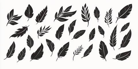 Fototapeta premium Elegant Feather Design Collection