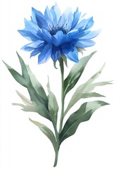Stunning Blue Flower Watercolor Painting