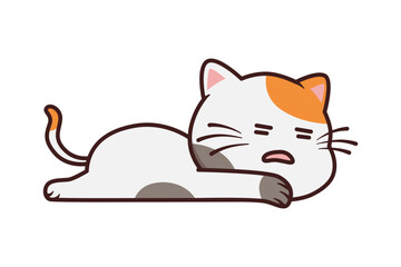 A cat lying on its back because it's tired