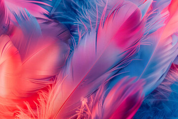 Obraz premium Abstract Feathers Background