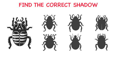 Matching game to Find the correct shadow. Educational game for children to Choose correct silhouette for beetle. Activity worksheet for preschool or kindergarten.