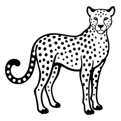 cheetah on a white background