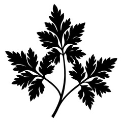 chervil  of silhouettes