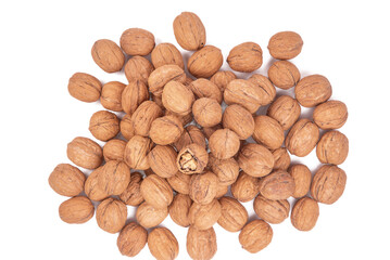Collection of walnuts isolated on white or transparent background