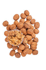 Collection of walnuts isolated on white or transparent background