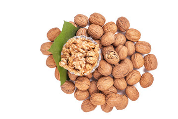 Collection of walnuts isolated on white or transparent background