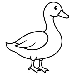 duck isolated on white