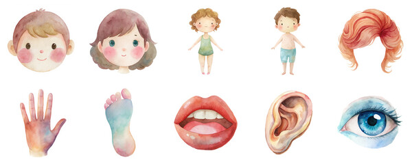 Collection of body parts and facial features, watercolor illustration. Each element isolated on transparent background.
